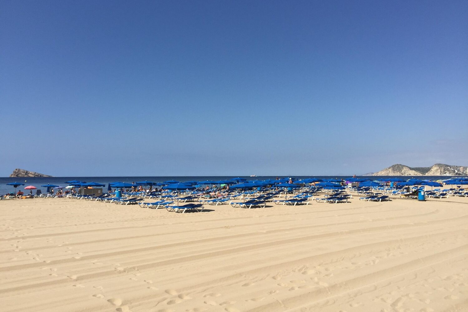 Image by Frode from Pixabay