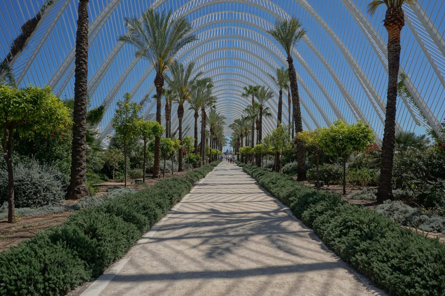 Image by Volker Glätsch from Pixabay